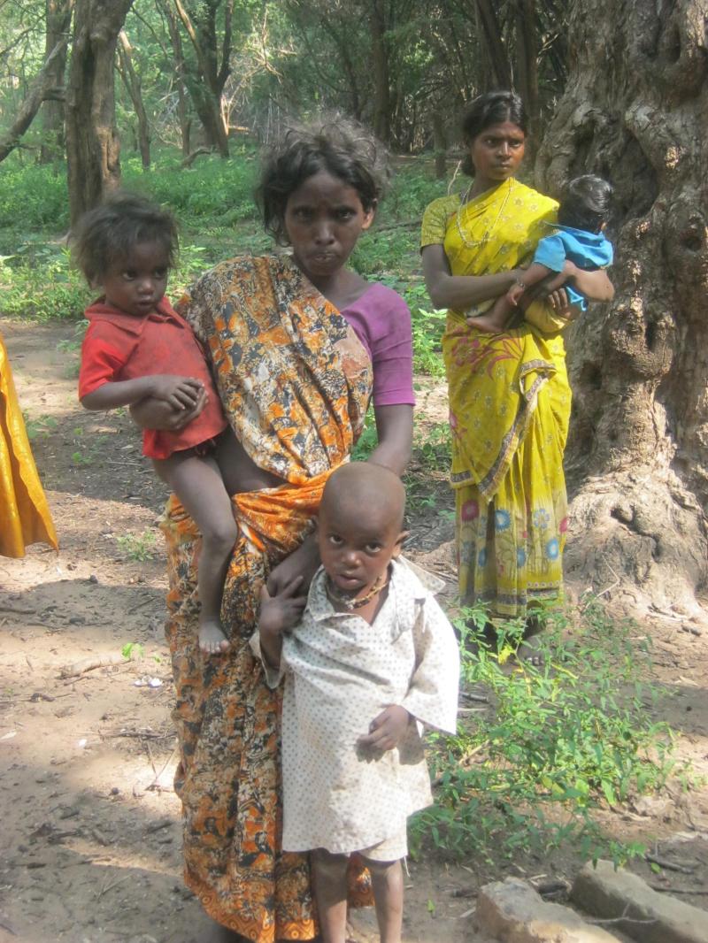 Palutla and three chechu gudems