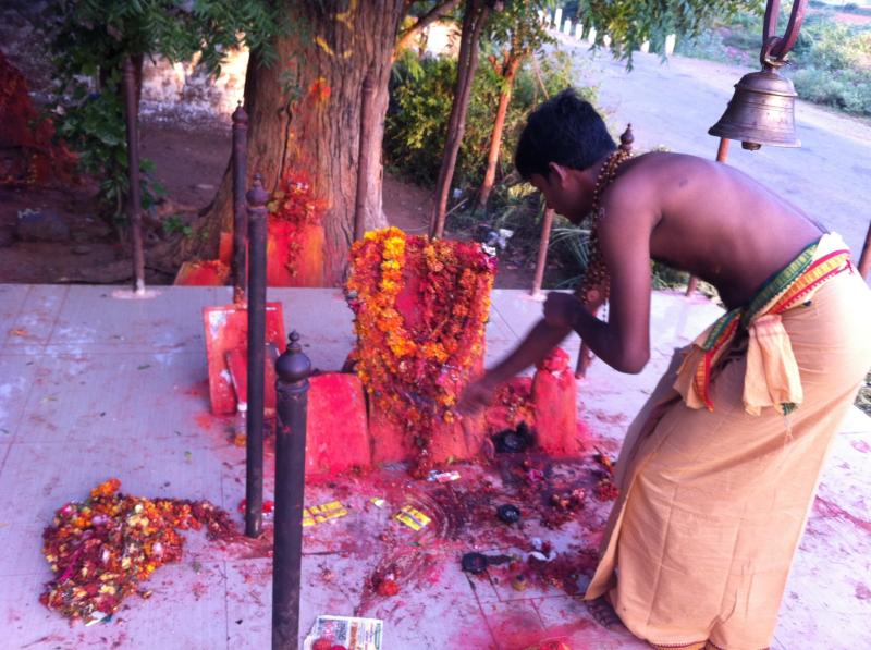 Palutla and three chechu gudems